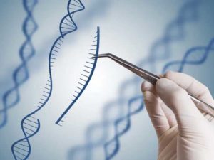 Les médecins tentent d’utiliser CRISPR pour lutter contre le cancer. Le premier test a montré que c’était sûr