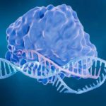 Fanzor es el primer sistema similar a CRISPR descubierto en formas de vida complejas