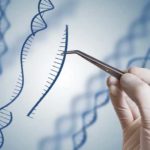 Врачи пытаются использовать CRISPR для борьбы с раком. Первое испытание показывало, что это безопасно